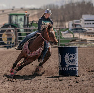 Meet your Posher, Chesney